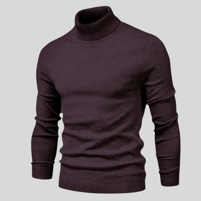 Jonas | Stylish Turtleneck Sweater